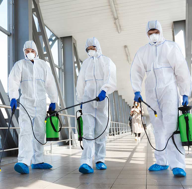 pest control Johannesburg South
